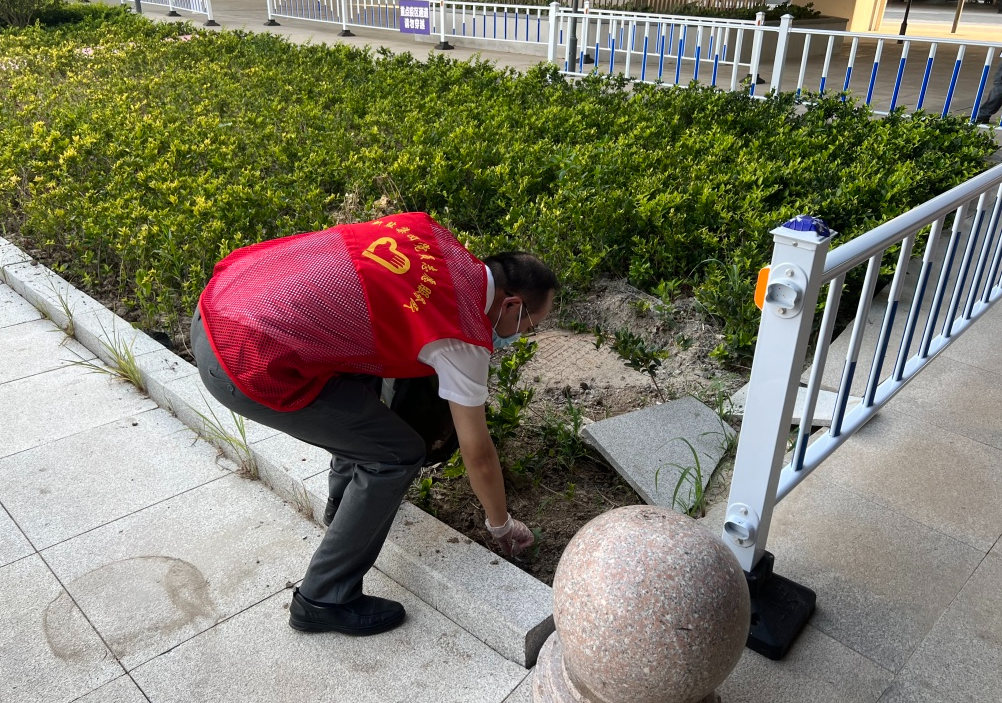 志愿服务.png 志愿服务.png