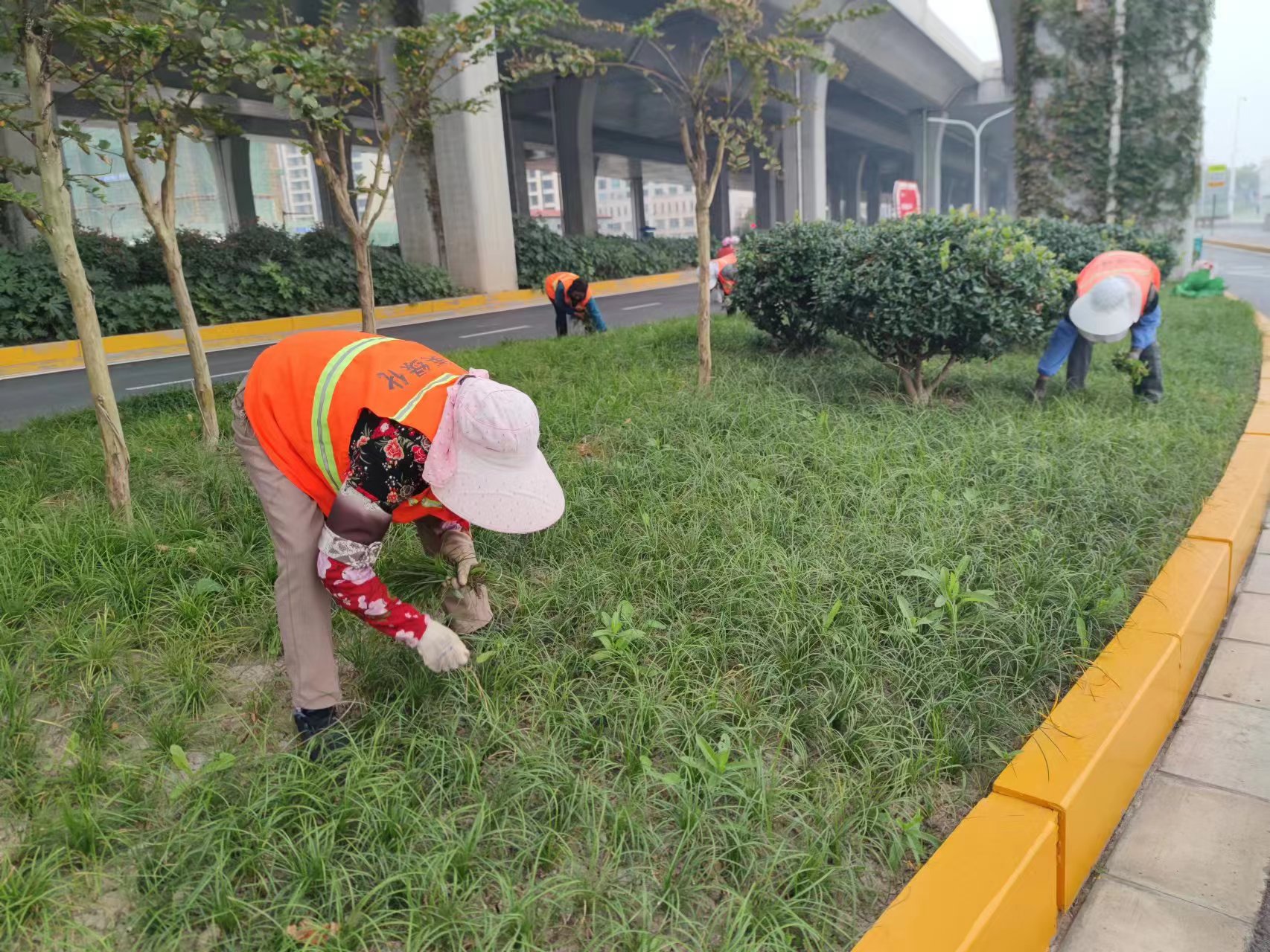 微信图片_20231025093508.jpg 微信图片_20231025093508.jpg