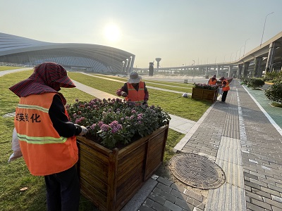 修剪2.jpg 修剪2.jpg