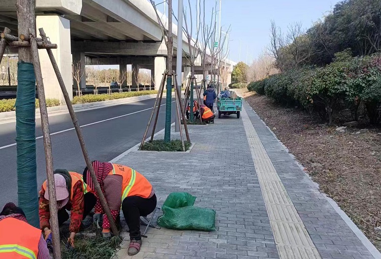 正在上传... 正在上传...