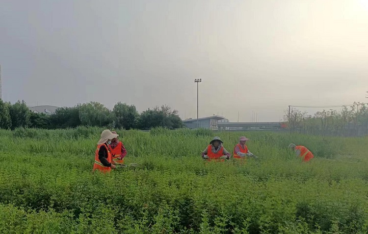 微信图片_20240614153914.jpg 微信图片_20240614153914.jpg