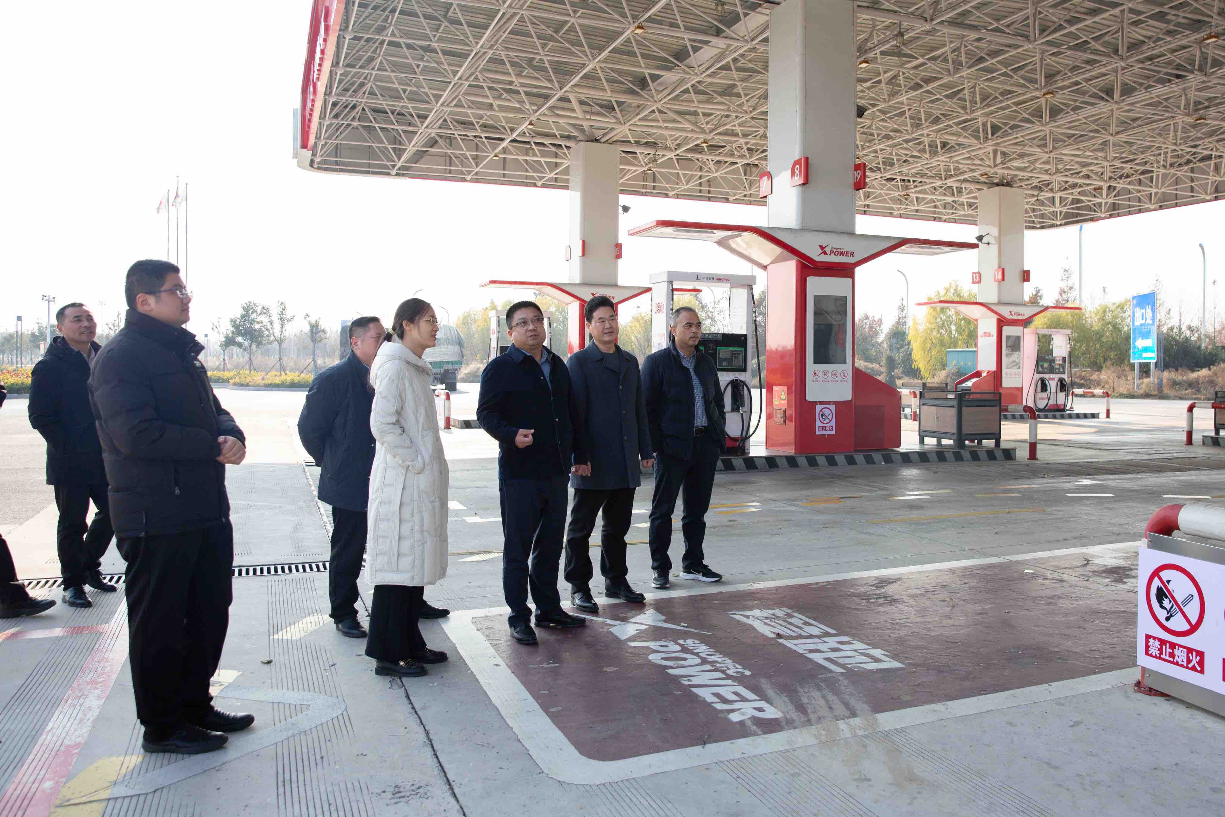 1734486696_2.jpeg 1734486696_2.jpeg