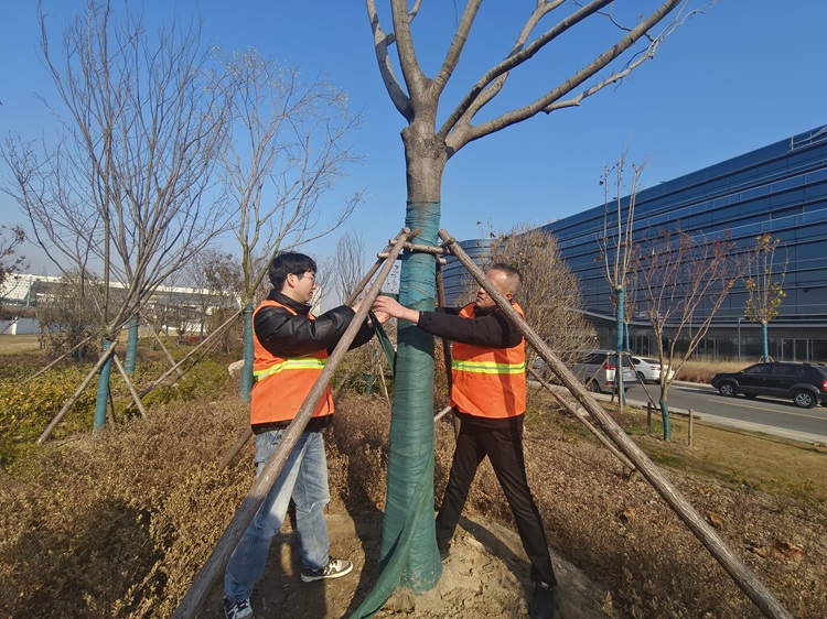 微信图片_20241225102920.jpg 微信图片_20241225102920.jpg