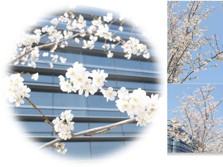 f0c6d0e0045e22971d179fa3d53f070.jpg f0c6d0e0045e22971d179fa3d53f070.jpg