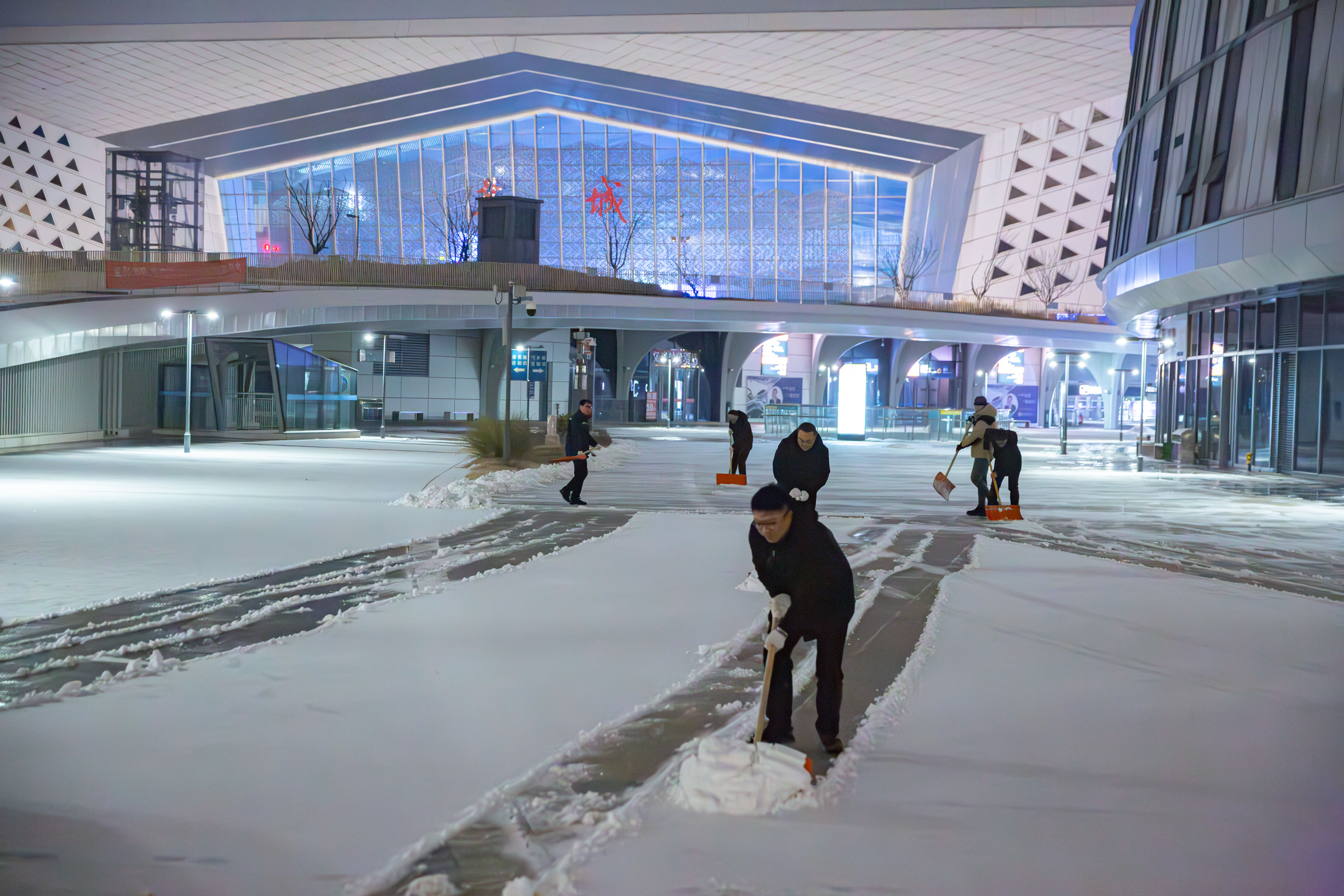 20260119-QA1A9541-已增强-降噪.jpg